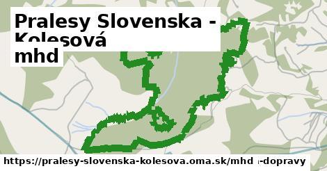 Pralesy Slovenska - Kolesová Doprava  