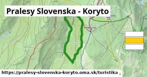 Pralesy Slovenska - Koryto Turistické trasy  