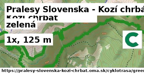 Pralesy Slovenska - Kozí chrbát Cyklotrasy zelená bicycle