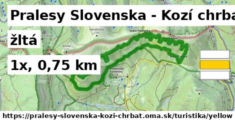 Pralesy Slovenska - Kozí chrbát Turistické trasy žltá 