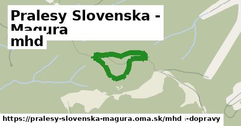 Pralesy Slovenska - Magura Doprava  