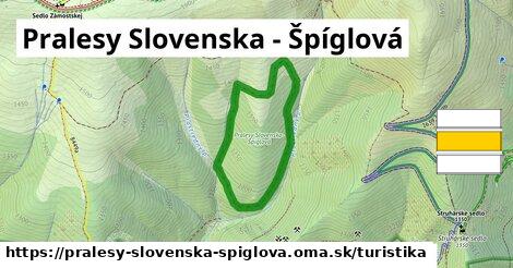 Pralesy Slovenska - Špíglová Turistické trasy  