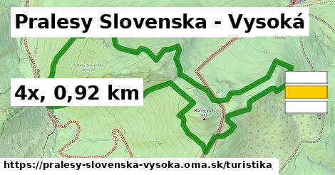 Pralesy Slovenska - Vysoká Turistické trasy  