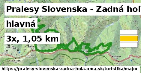 Pralesy Slovenska - Zadná hoľa Turistické trasy hlavná 