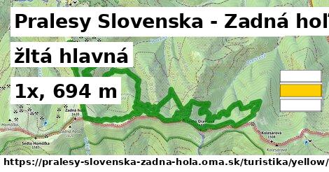 Pralesy Slovenska - Zadná hoľa Turistické trasy žltá hlavná