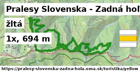 Pralesy Slovenska - Zadná hoľa Turistické trasy žltá 
