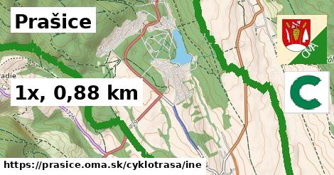 Prašice Cyklotrasy iná 