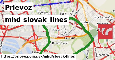 Prievoz Doprava slovak-lines 