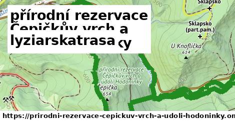 přírodní rezervace Čepičkův vrch a údolí Hodonínky Lyžiarske trasy  