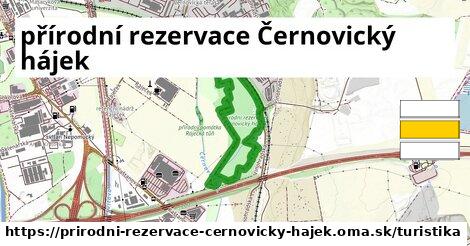 přírodní rezervace Černovický hájek Turistické trasy  