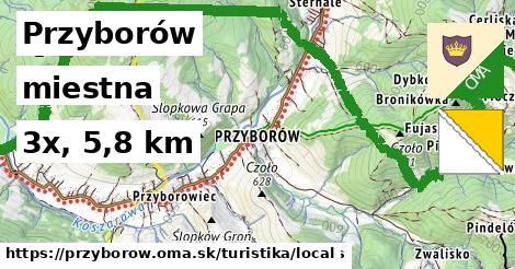 Przyborów Turistické trasy miestna 