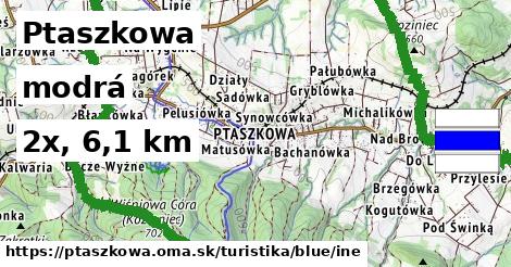 Ptaszkowa Turistické trasy modrá iná