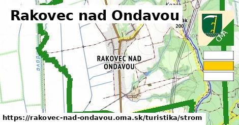 Rakovec nad Ondavou Turistické trasy strom 