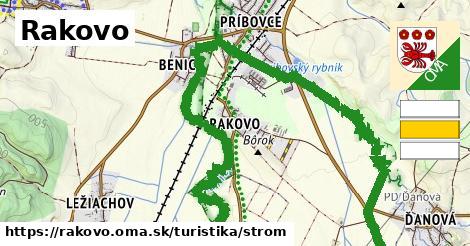 Rakovo Turistické trasy strom 