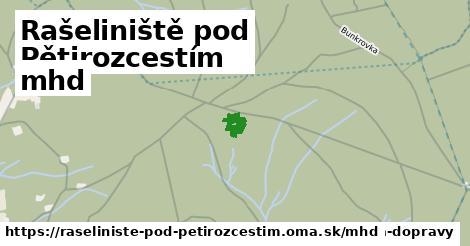Rašeliniště pod Pětirozcestím Doprava  