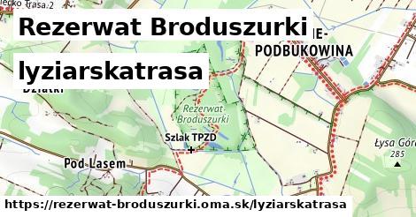 Rezerwat Broduszurki Lyžiarske trasy  