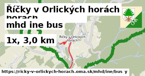 Říčky v Orlických horách Doprava iná bus