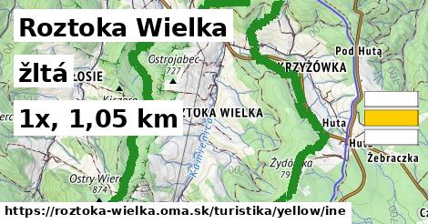 Roztoka Wielka Turistické trasy žltá iná
