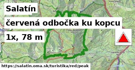 Salatín Turistické trasy červená odbočka ku kopcu