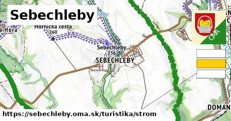 Sebechleby Turistické trasy strom 