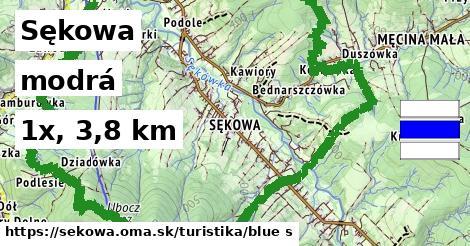 Sękowa Turistické trasy modrá 