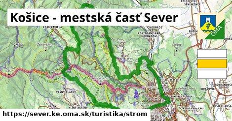Košice - mestská časť Sever Turistické trasy strom 