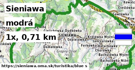 Sieniawa Turistické trasy modrá 