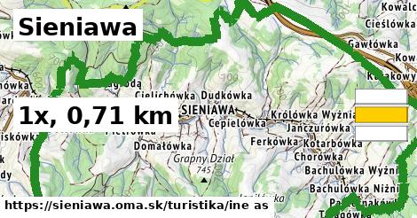 Sieniawa Turistické trasy iná 