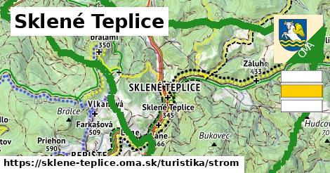 Sklené Teplice Turistické trasy strom 