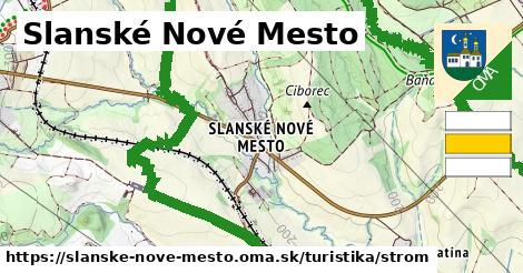 Slanské Nové Mesto Turistické trasy strom 