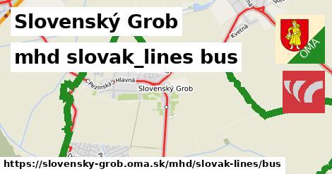 Slovenský Grob Doprava slovak-lines bus