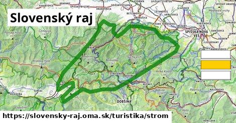 Slovenský raj Turistické trasy strom 