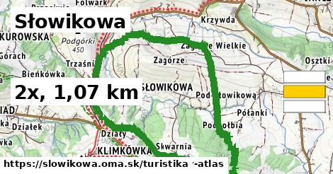 Słowikowa Turistické trasy  