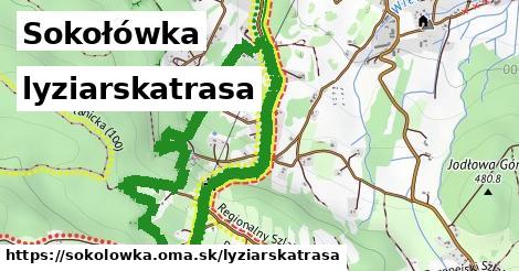 Sokołówka Lyžiarske trasy  