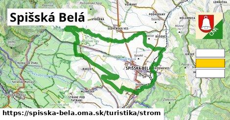 Spišská Belá Turistické trasy strom 