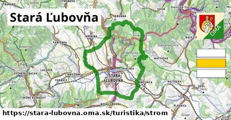 Stará Ľubovňa Turistické trasy strom 