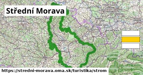 Střední Morava Turistické trasy strom 