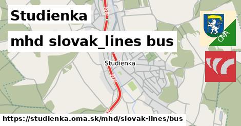 Studienka Doprava slovak-lines bus