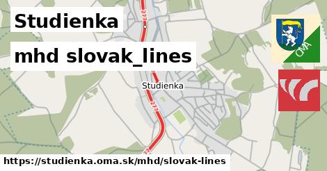 Studienka Doprava slovak-lines 