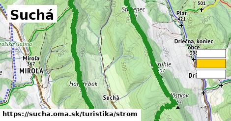 Suchá Turistické trasy strom 