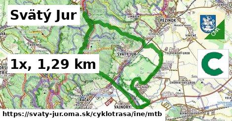 Svätý Jur Cyklotrasy iná mtb