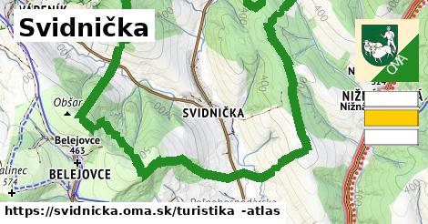 Svidnička Turistické trasy  