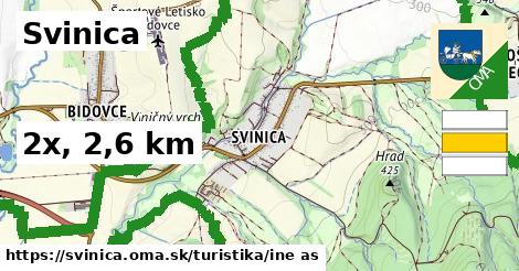 Svinica Turistické trasy iná 