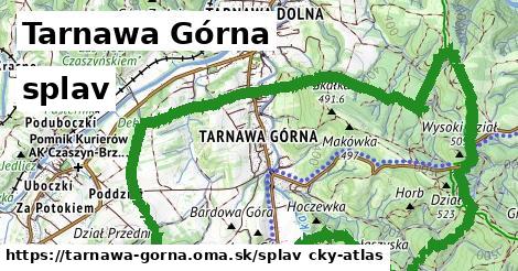 Tarnawa Górna Splav  