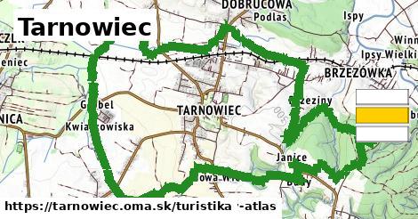 Tarnowiec Turistické trasy  