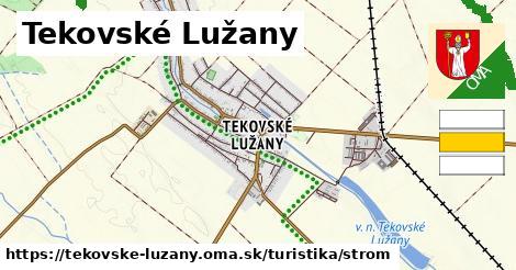 Tekovské Lužany Turistické trasy strom 