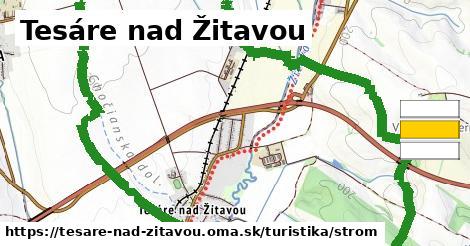 Tesáre nad Žitavou Turistické trasy strom 