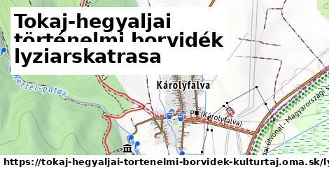 Tokaj-hegyaljai történelmi borvidék kultúrtáj Lyžiarske trasy  