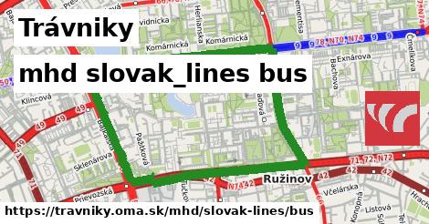 Trávniky Doprava slovak-lines bus