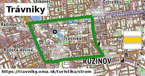 Trávniky Turistické trasy strom 